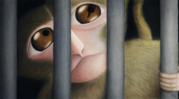 Stop Vivisection