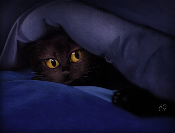 Black Cat